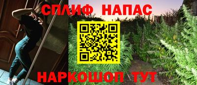 прущие грибы Бузулук