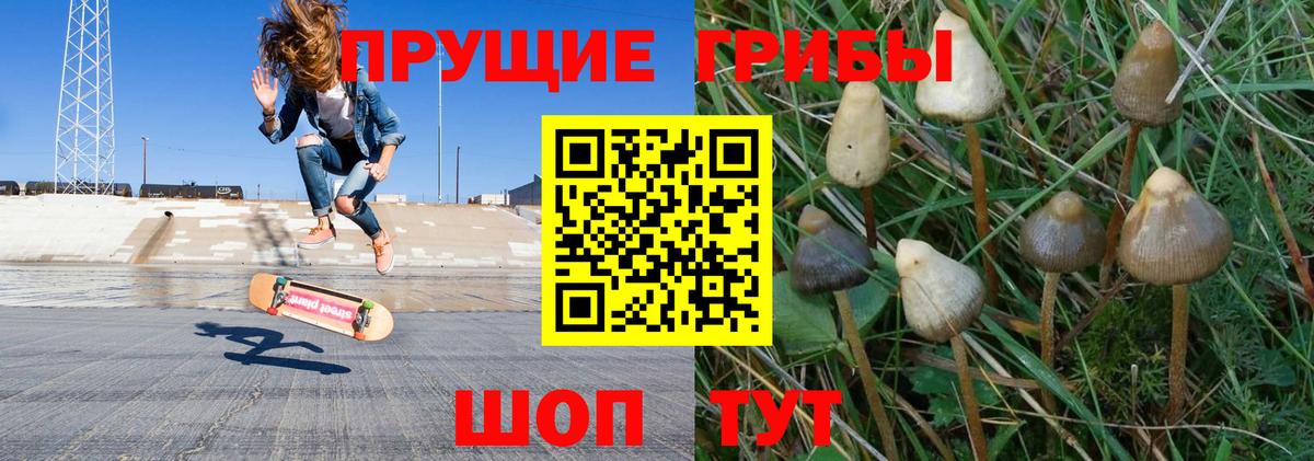 Галлюциногенные грибы ЛСД  Псилоцибиновые грибы прущие грибы  Минеральные Воды  Вход с VPN 
